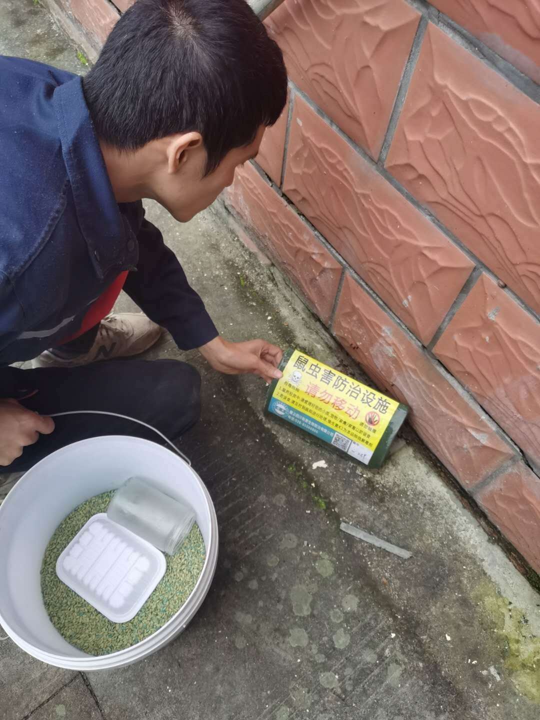 宜宾除四害